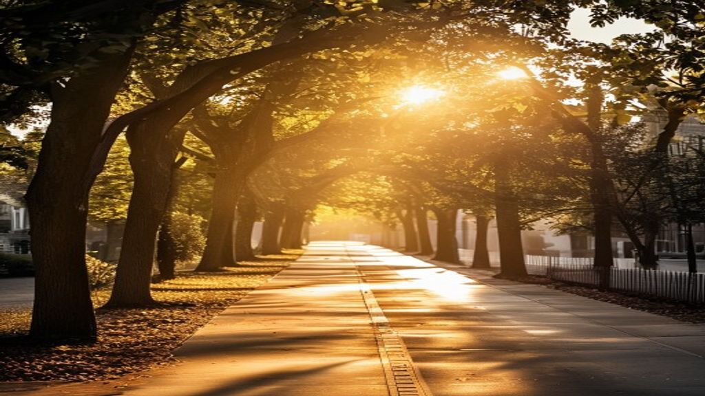 Portland urban walking path through tree-lined street